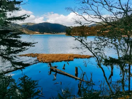 77spins Kasino Mobiilisovellus